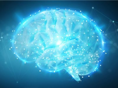 Brain Androgyny: What is it and What are its Benefits? 39