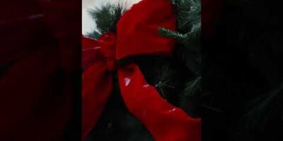 First Snow at The White House - 2025 7