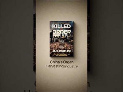 Eight Kidneys for One Patient? 2