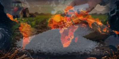 Fertilizer Shortages, JPMorgan Warns Food Supply Crisis Could Begin in 2027 6